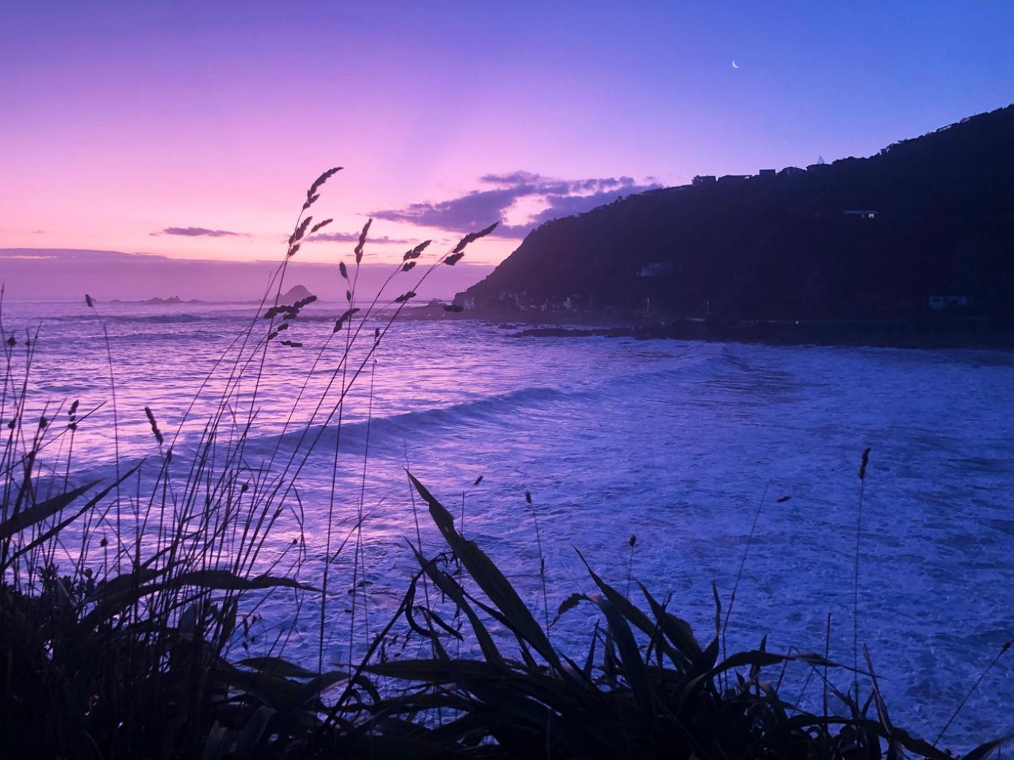 Stunning Views Ocean-Front Villa Wellington Bagian luar foto