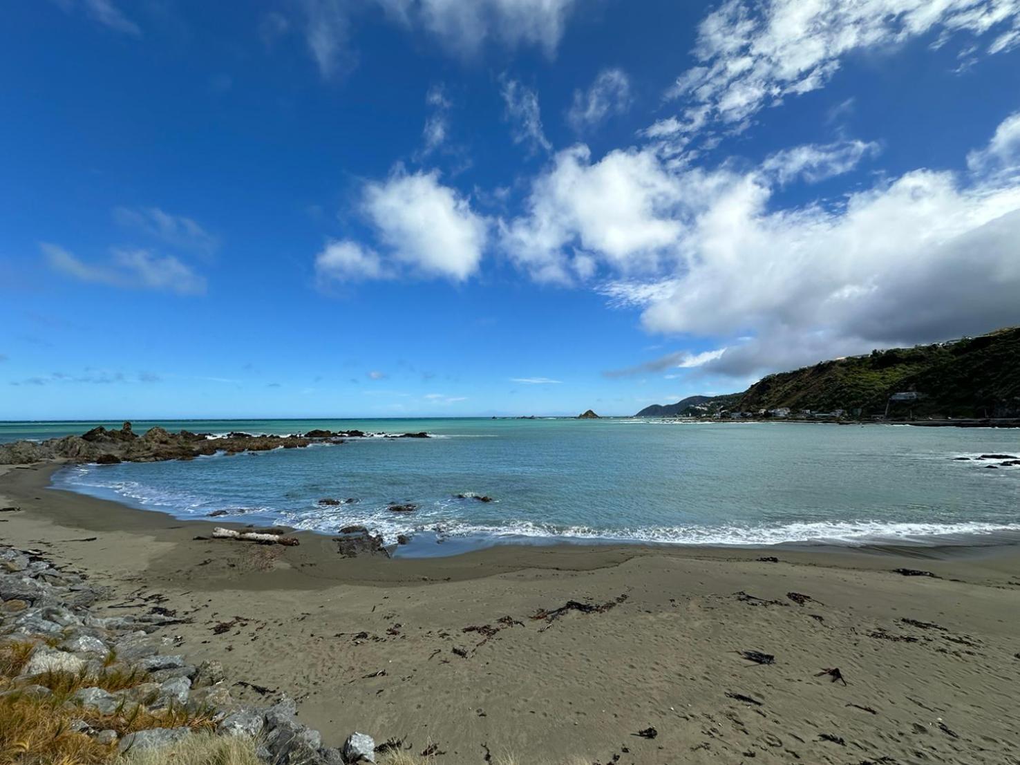 Stunning Views Ocean-Front Villa Wellington Bagian luar foto