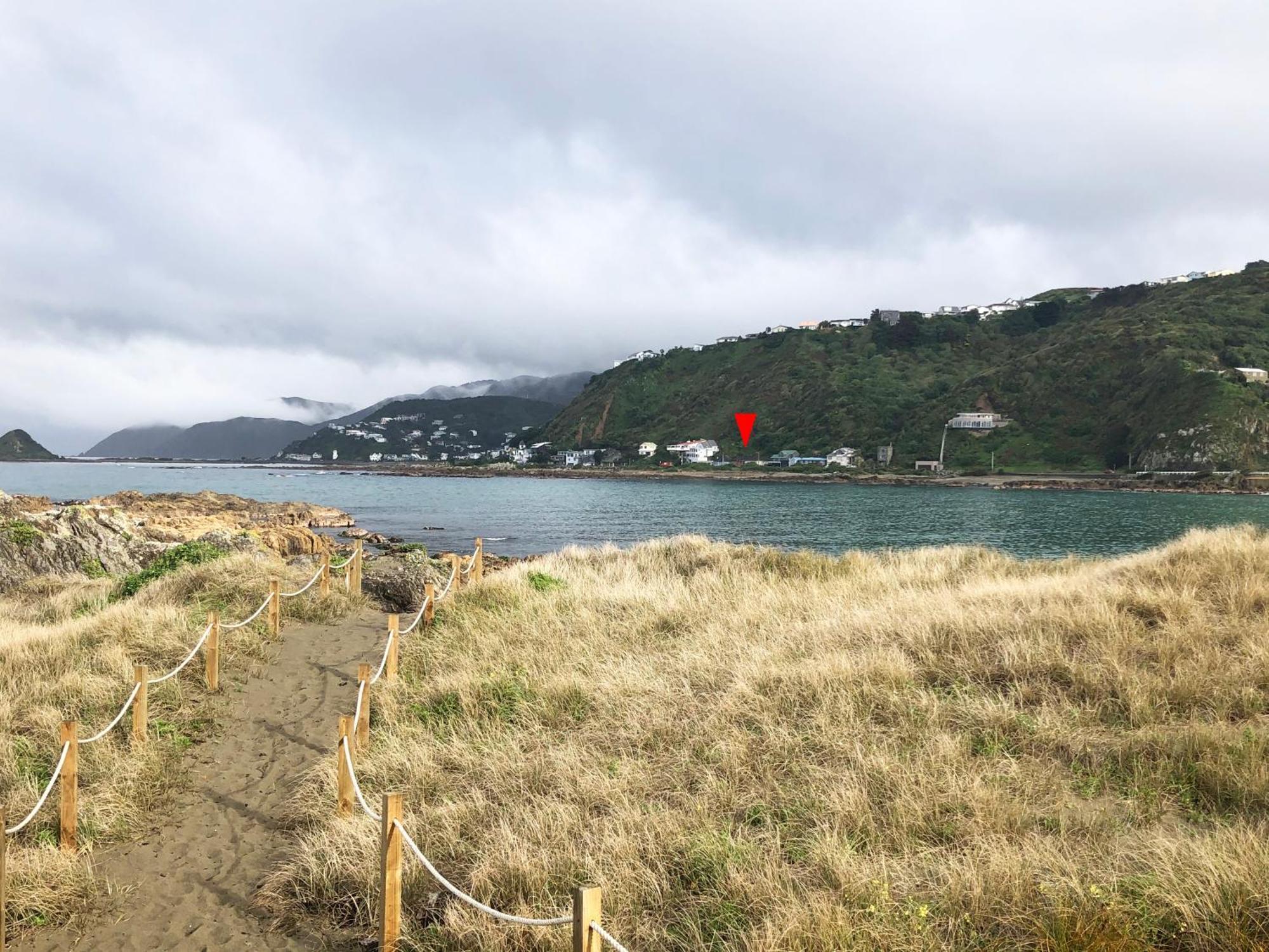 Stunning Views Ocean-Front Villa Wellington Bagian luar foto